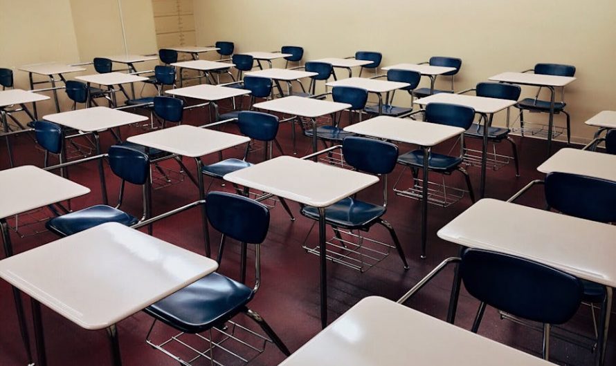 Продажа дипломов и аттестатов в Бийске